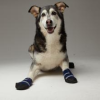 Healers Medical Dog Booties - One Pair - Extra Large