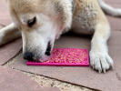 Flower Power Design eMat Enrichment Lick Mat