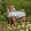 GF Pet Reversible Raincoat