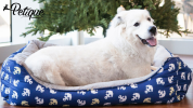 Anchors Away Pet Bed