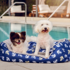 Anchors Away Pet Bed