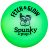 Fetch & Glow Ball