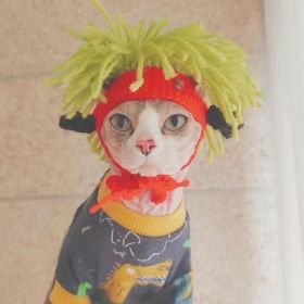 Punk Cat Hat Funny Rock Decoration (Option: Green Hair Punk Hat-M)